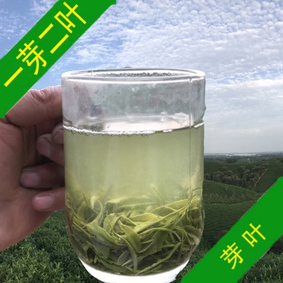 抢鲜 信阳毛尖2022新茶【一芽二叶】500克绿茶手工茶散茶产地货源