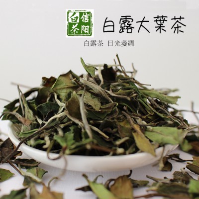 信阳白茶散茶 2021年白露茶 高山白露大叶茶500g 浉河港茶厂批发