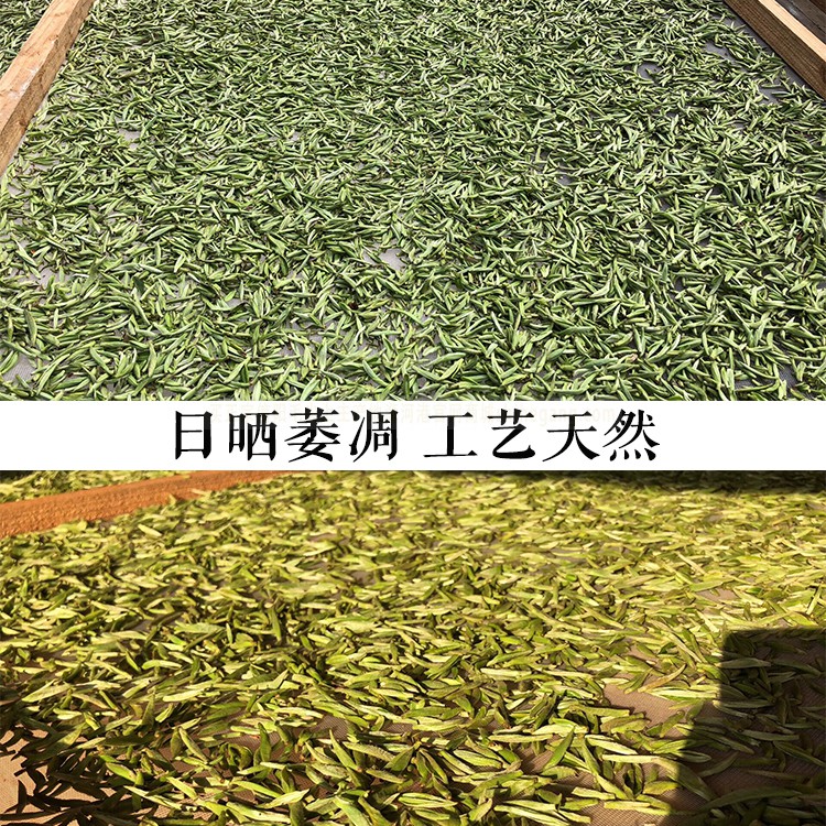 2024新茶信阳白茶散茶 明前一级润灵芽白茶浉河港大山茶散装 茶厂批发