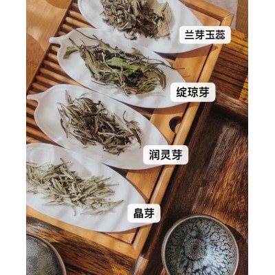 浉牌 2023年信阳白茶 皛芽...