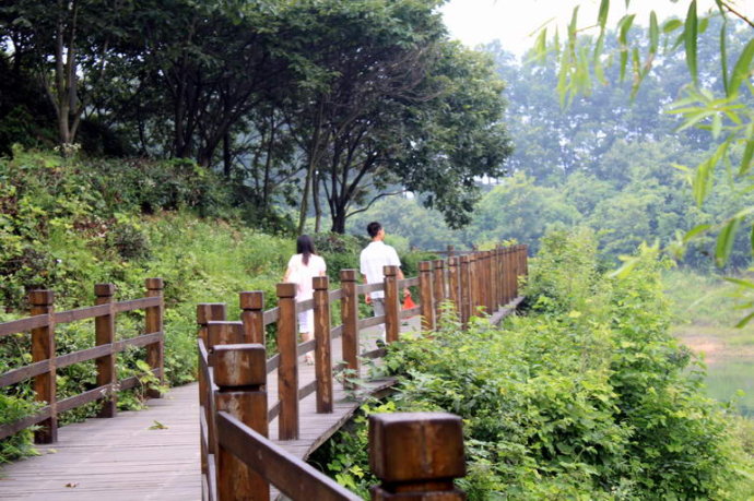 信阳南湾湖之茶岛