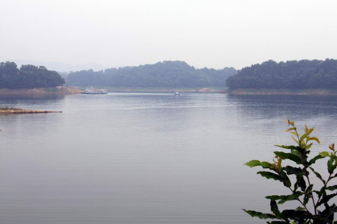 信阳南湾湖之茶岛