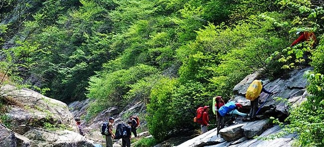 信阳浉河港何家寨古城堡残存的沧桑诉说