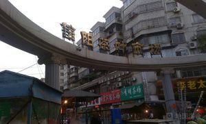 信阳毛尖