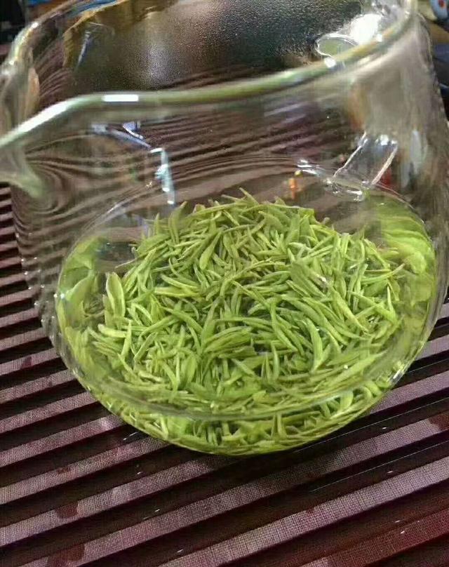 信阳毛尖