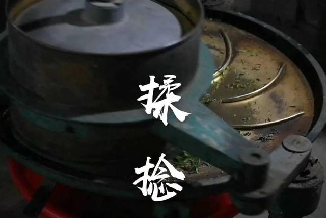 茶王之乡浉河港：一杯好信阳毛尖茶的诞生