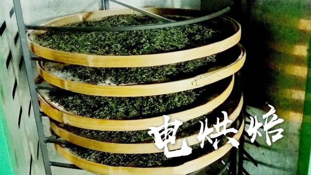 茶王之乡浉河港：一杯好信阳毛尖茶的诞生