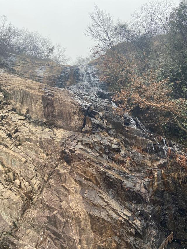 90%的茶树被茶农种植在山区：“高山云雾出好茶”