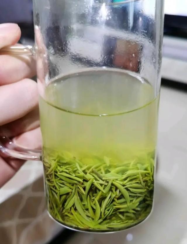 你还在认为好的信阳毛尖是"小混淡"吗？本地有经验茶师告诉你真相