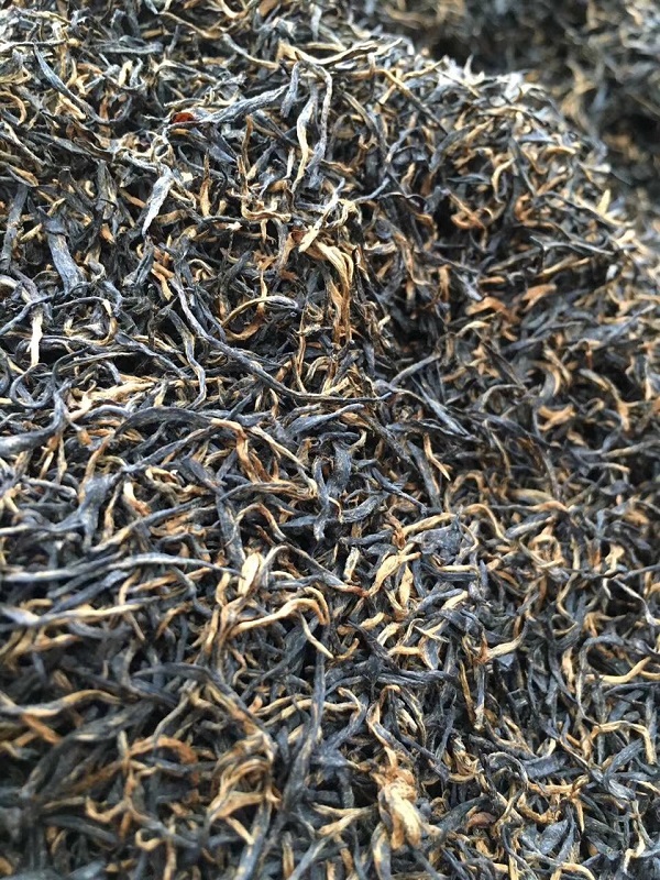 信阳红茶