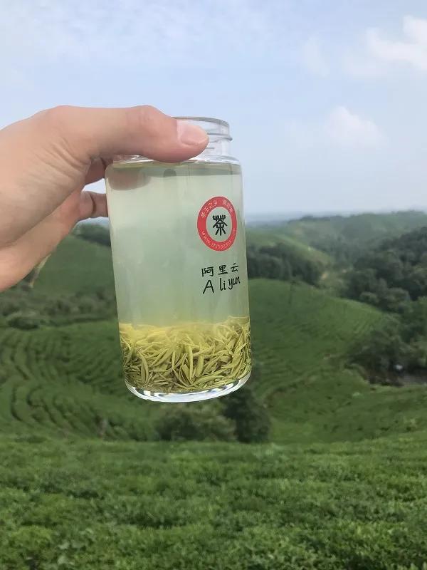 2021，用一杯茶，鼓励自己