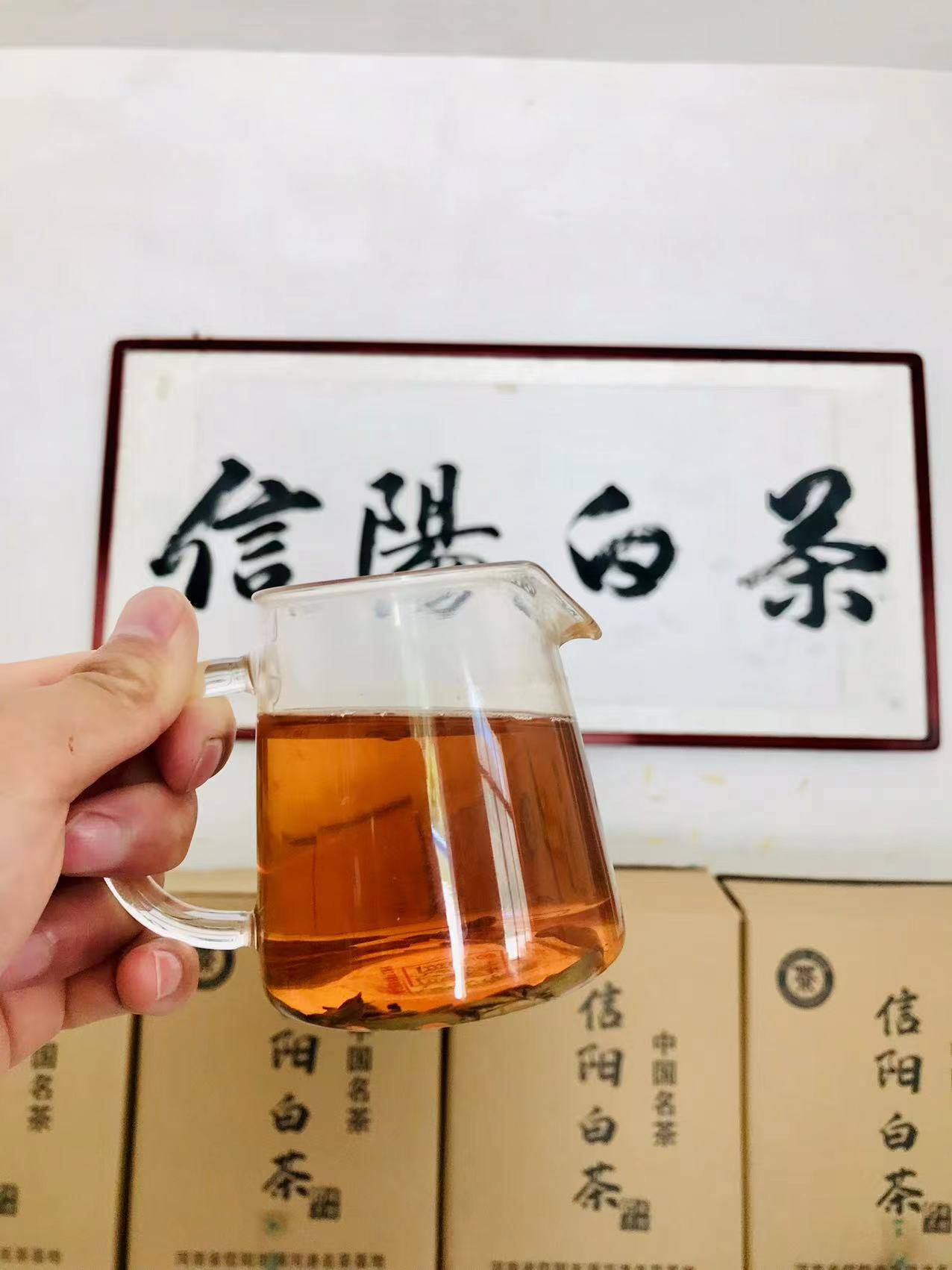 信阳白茶