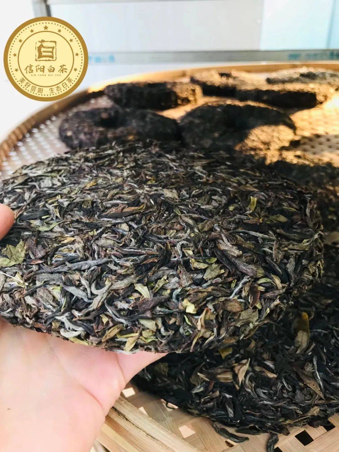 浉牌信阳白茶·白茶魂 2018年老白茶饼礼盒300g 可居家收藏及商务办公博物馆陈列