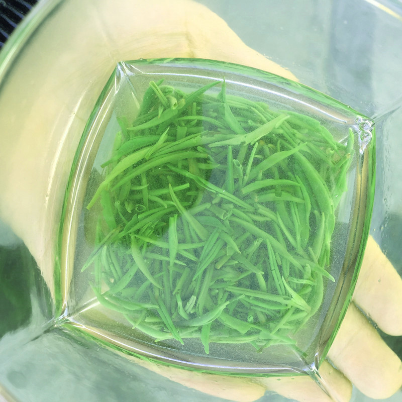 绿茶 毛尖 信阳毛尖 雨前特级2025新茶 春茶 浉河港黄庙生态茶厂