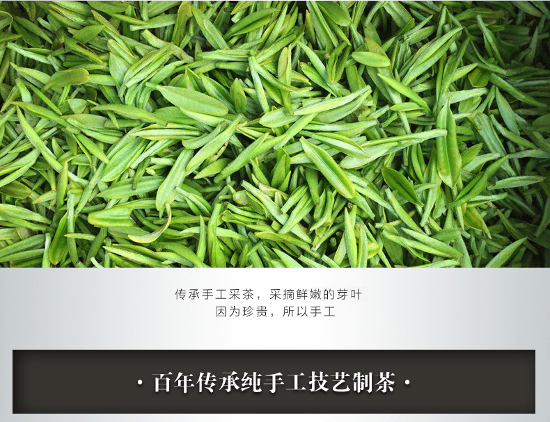 绿色大师之作信阳毛尖包装盒【纯生态绿色】环保礼盒茶 新款 125g*2装（不单卖）