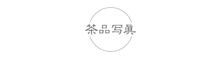 浉河港核心产区信阳毛尖2024新茶大山茶叶春季明前嫩芽特级散装