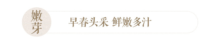 浉河港大山茶信阳毛尖茶2024新茶明前特级礼品茶