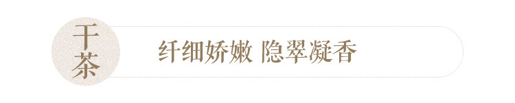 浉河港核心产区信阳毛尖2024新茶大山茶叶春季明前嫩芽特级散装