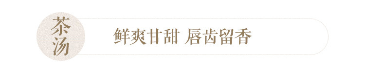 浉河港大山茶信阳毛尖茶2024新茶明前特级礼品茶