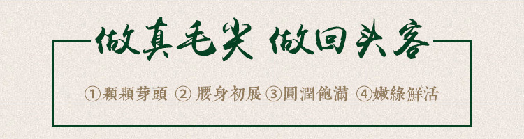 浉河港大山茶信阳毛尖茶2024新茶明前特级礼品茶