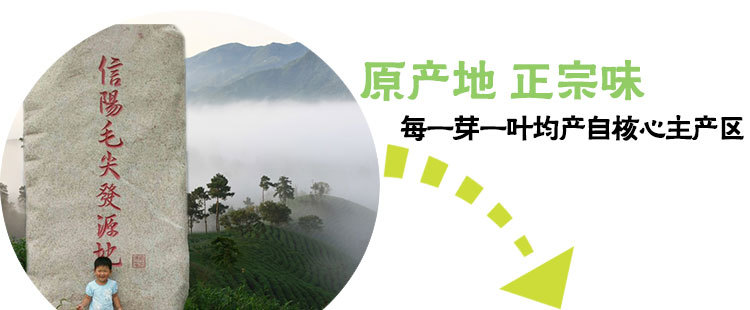 浉河港大山茶信阳毛尖茶2019新茶明前特级礼品茶 阿里云智慧茶庄园出品