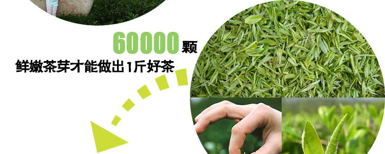 浉河港大山茶信阳毛尖茶2019新茶明前特级礼品茶 阿里云智慧茶庄园出品