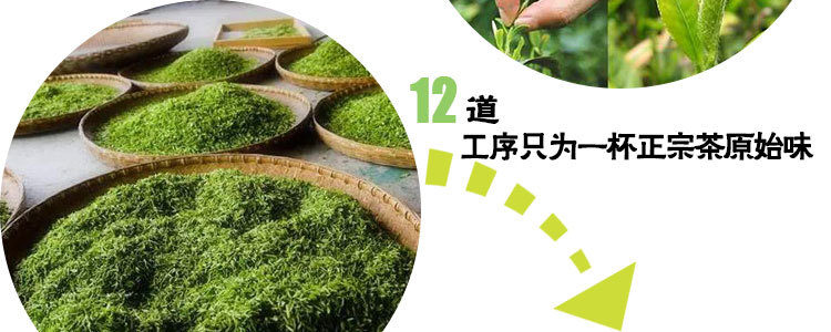 浉河港大山茶信阳毛尖茶2019新茶明前特级礼品茶 阿里云智慧茶庄园出品