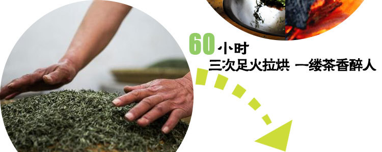 浉河港核心产区信阳毛尖2025新茶大山茶叶春季明前嫩芽特级散装