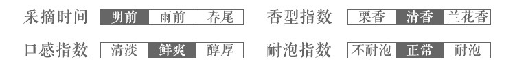 浉河港核心产区信阳毛尖2024新茶大山茶叶春季明前嫩芽特级散装