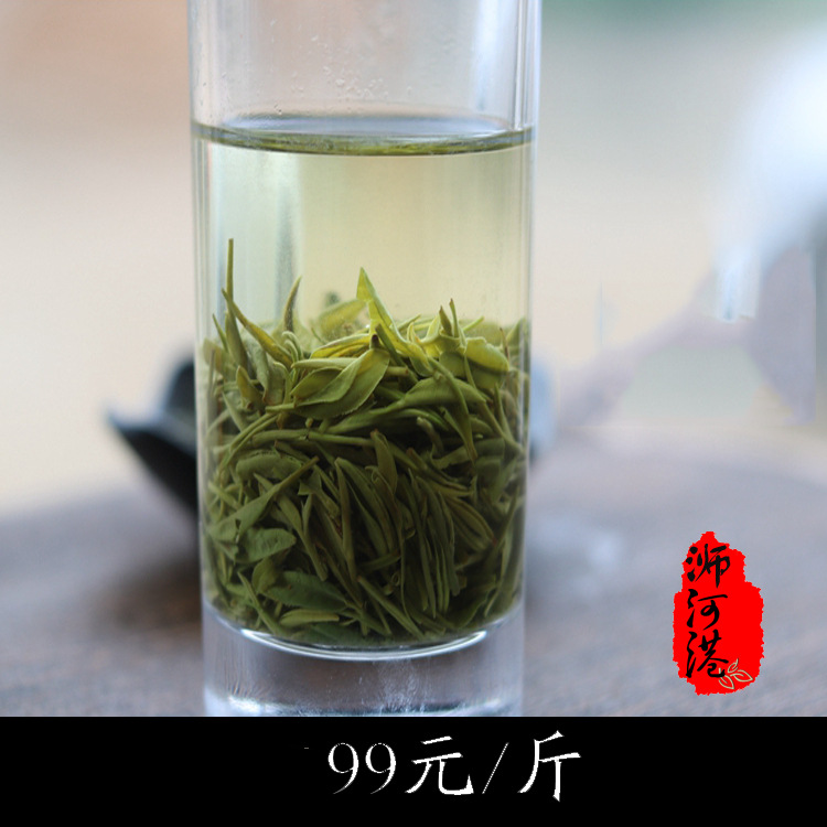 绿茶散装 茶叶批发 信阳毛尖2022新茶谷雨茶500g浉河港茶厂直销