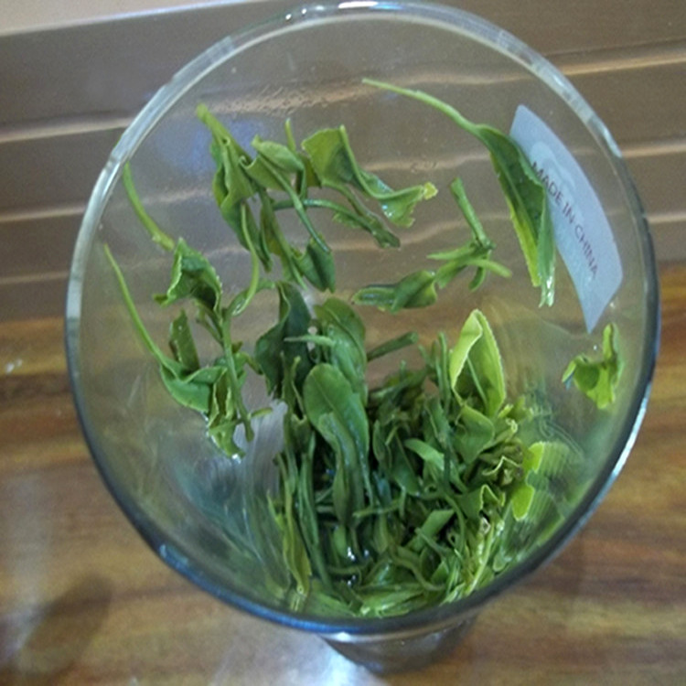 绿茶散装 茶叶批发 信阳毛尖2022新茶谷雨茶500g浉河港茶厂直销