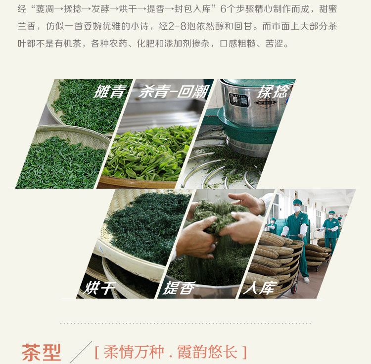 信阳红茶2024新茶珍品大山红茶浉河港茶厂原产地高山茶