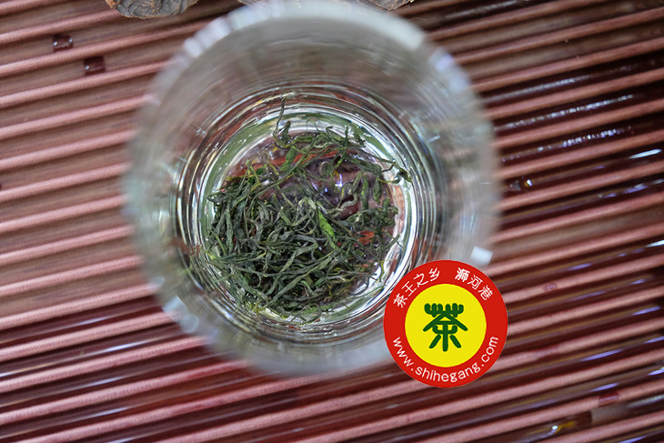 信阳毛尖用沸水泡茶，会破坏茶叶里的养分？