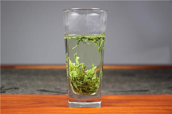 信阳毛尖茶梗