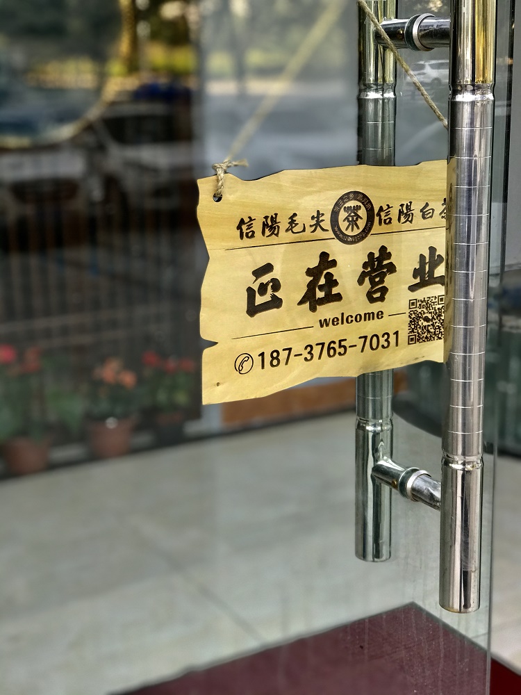 浉牌®信阳白茶2024新茶 白茶200g铁罐简装