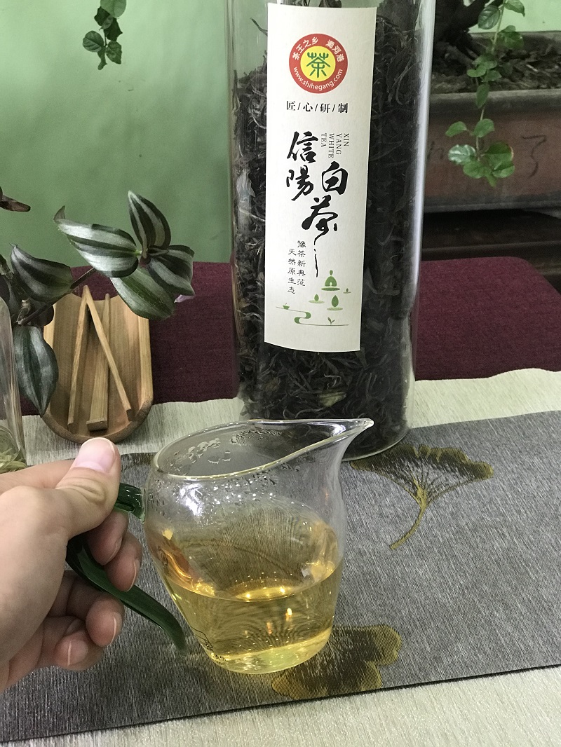 阿里云智慧茶庄园|“云游”好茶生长的地方