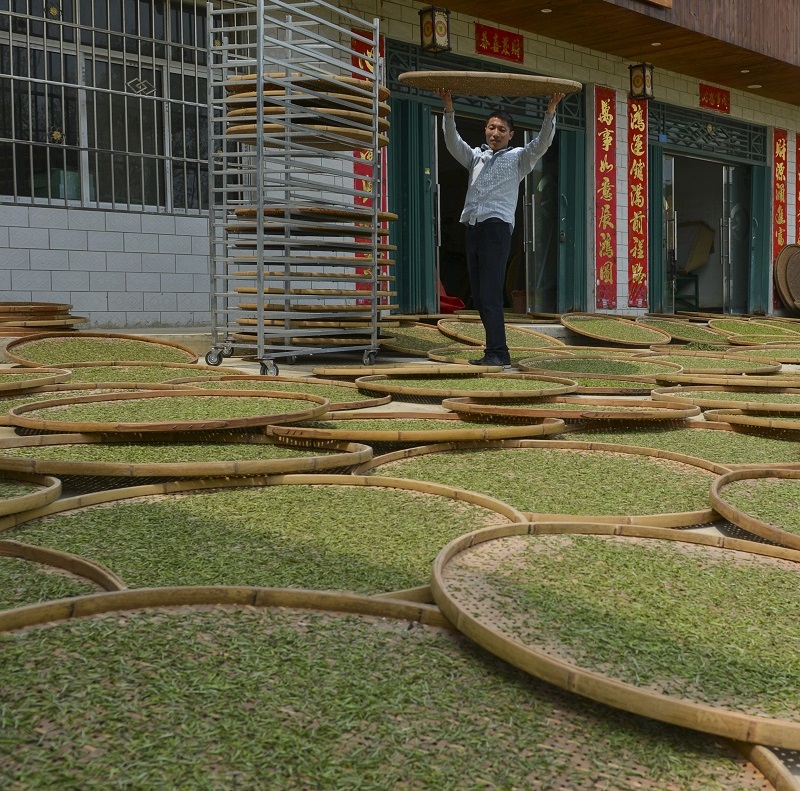 浉牌 信阳白茶 2024年浉河港高山润灵芽 简素牛皮纸袋装白茶