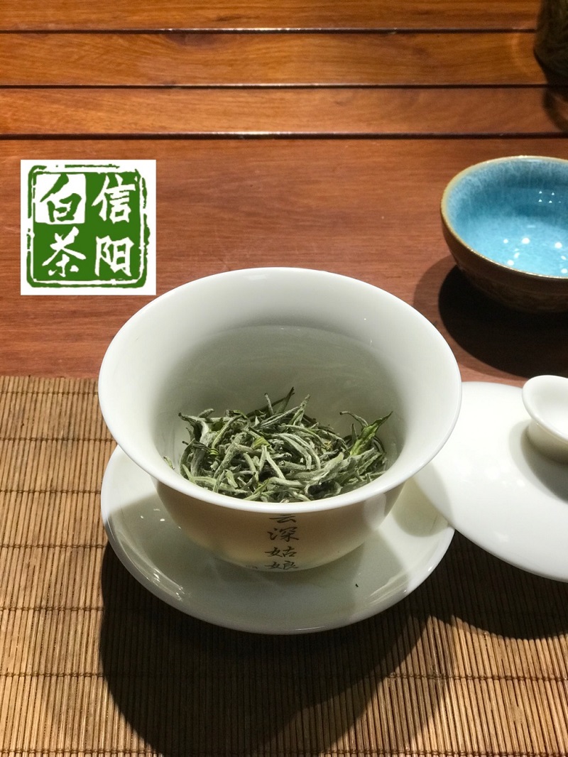 浉牌 珍稀白茶 2024信阳白茶 明前特级皛芽白茶 浉河港茶厂批发