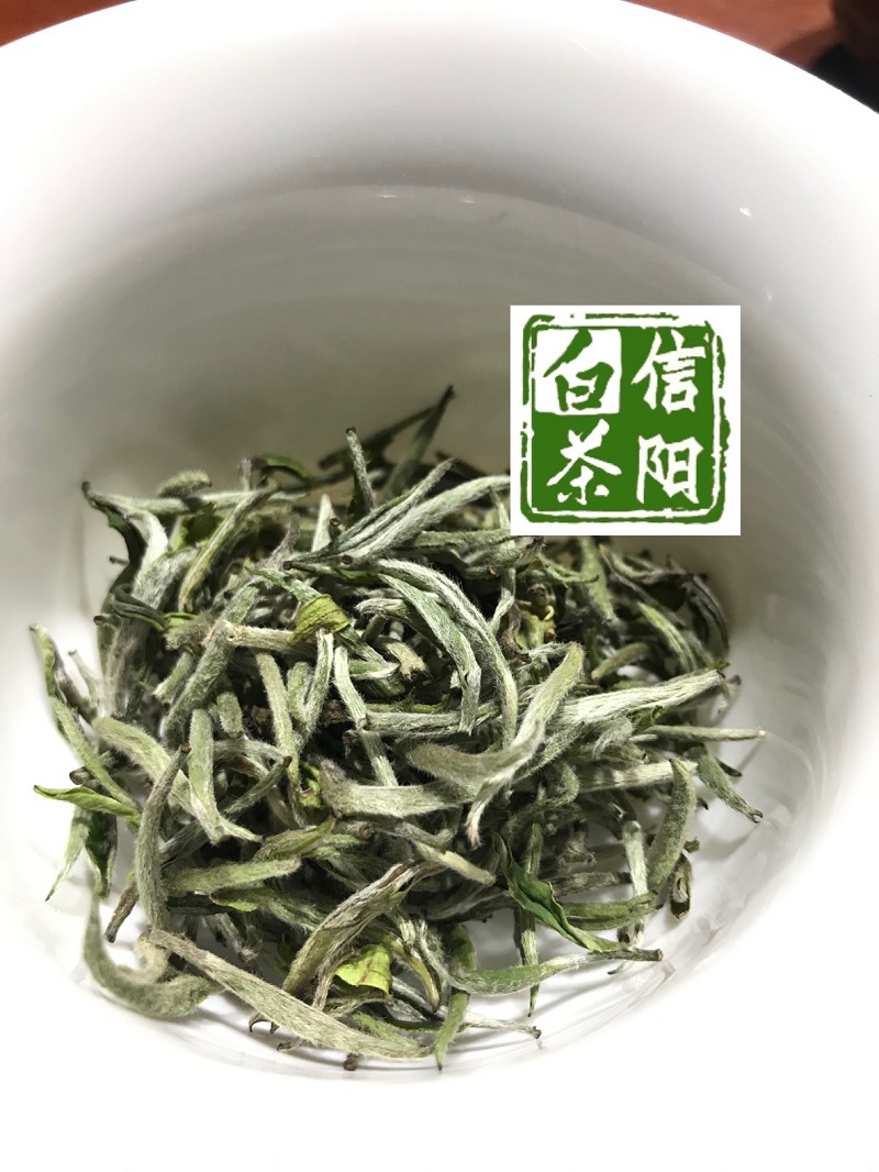 浉牌 珍稀白茶 2024信阳白茶 明前特级皛芽白茶 浉河港茶厂批发