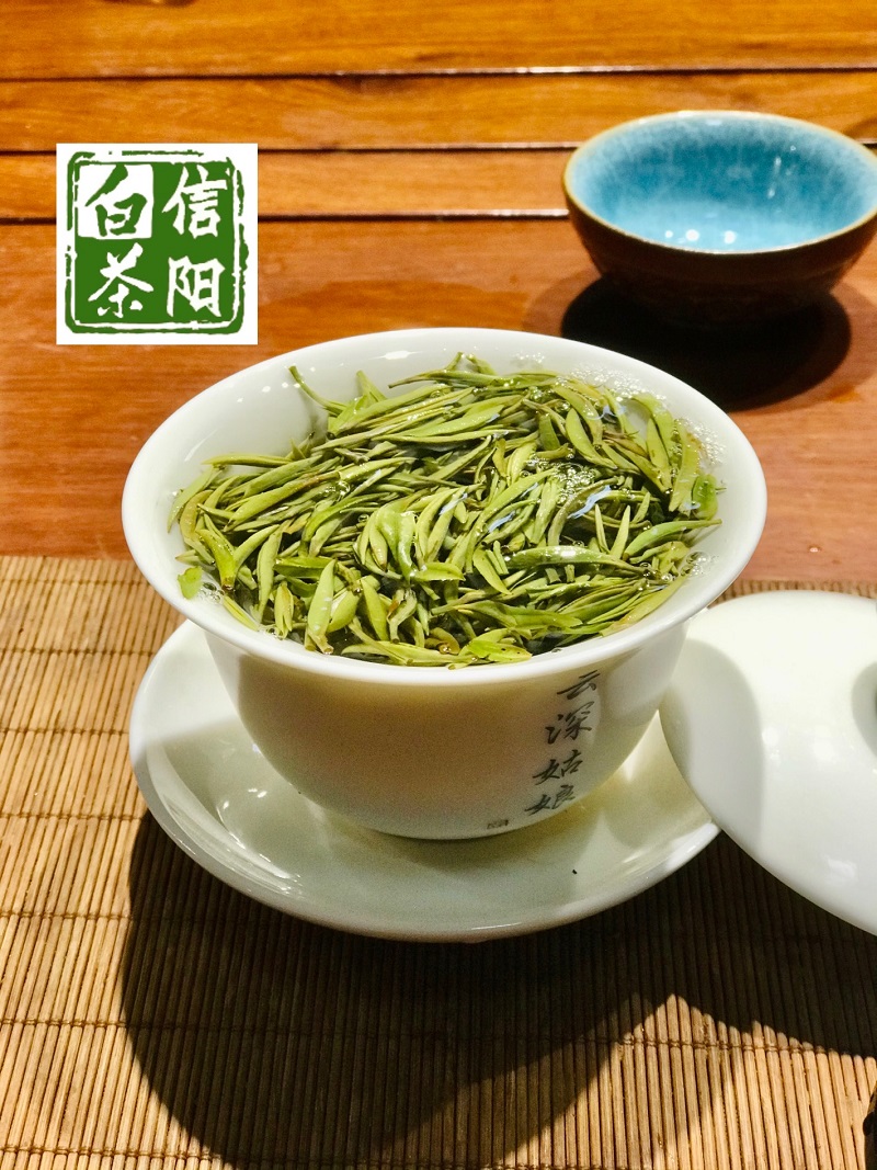 浉牌 珍稀白茶 2024信阳白茶 明前特级皛芽白茶 浉河港茶厂批发