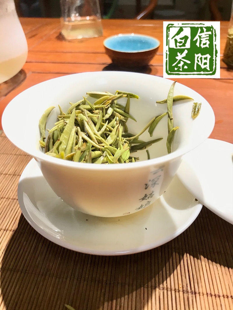 浉牌 珍稀白茶 2024信阳白茶 明前特级皛芽白茶 浉河港茶厂批发