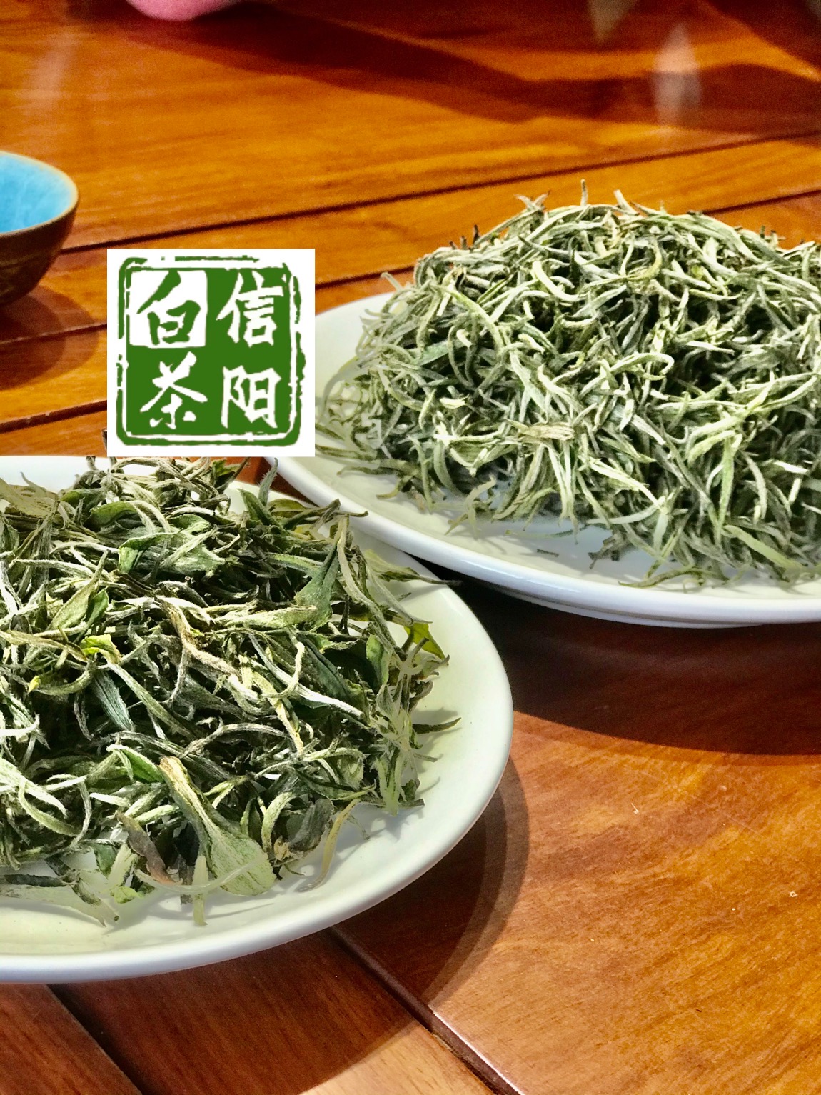 信阳白茶