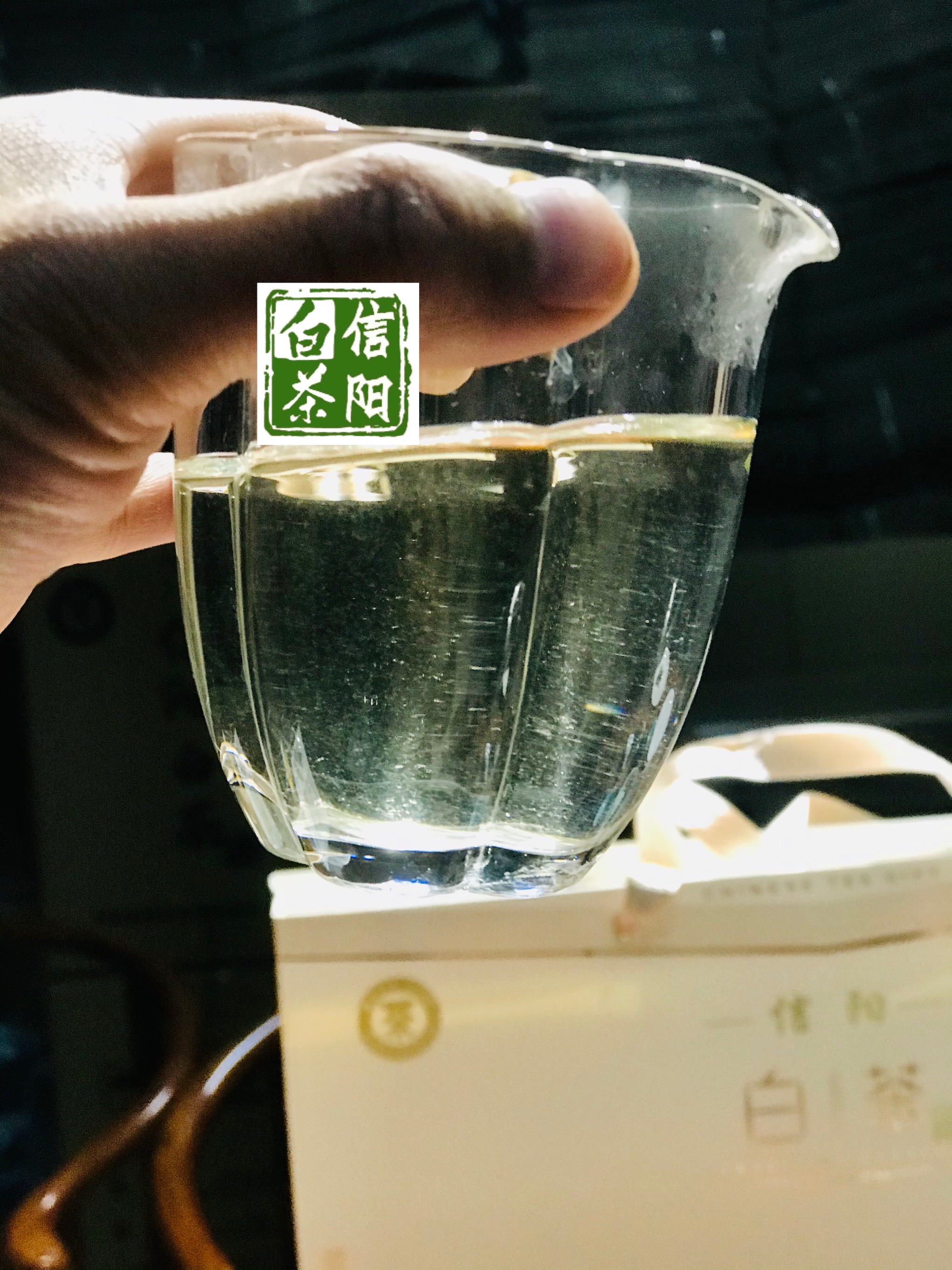 信阳白茶