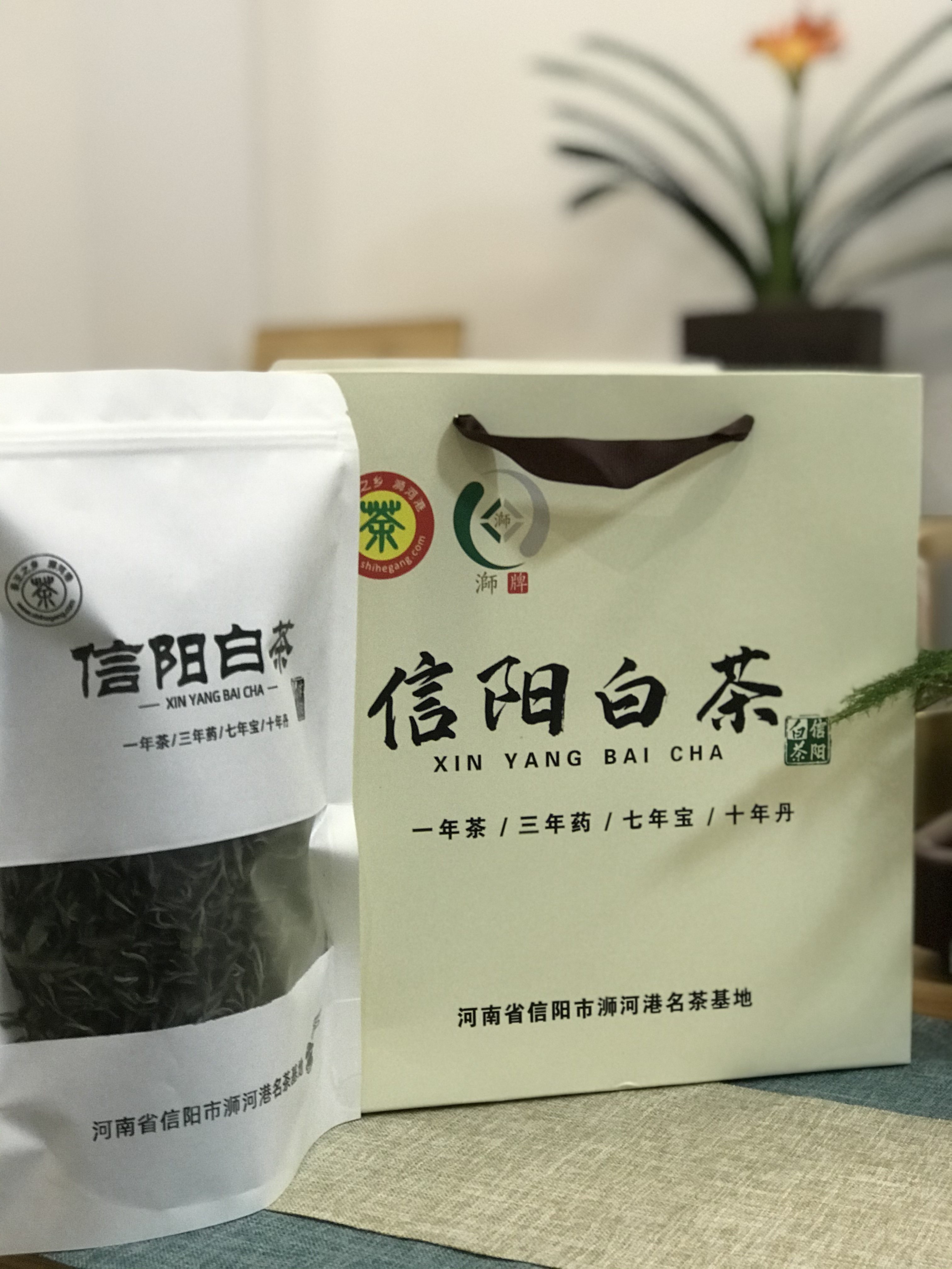 信阳白茶