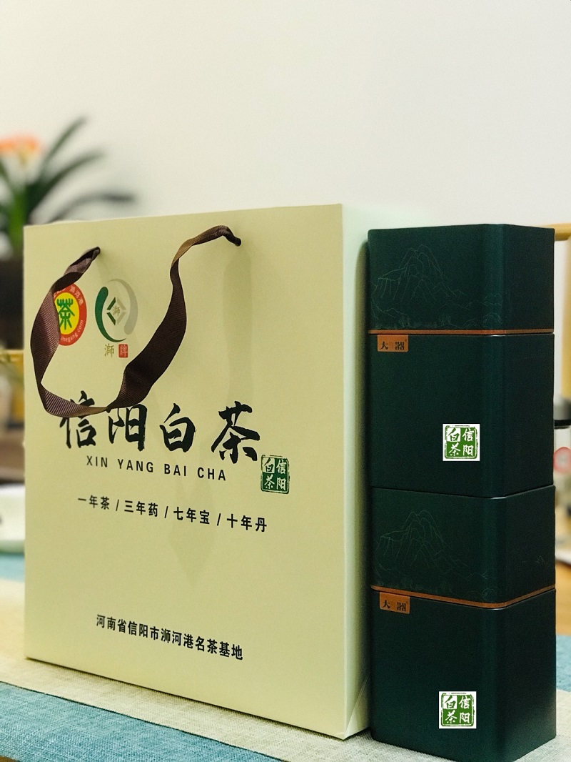 浉牌 信阳白茶 2023年浉河港特级润灵芽50克/罐 买五送一 简易铁罐装白茶
