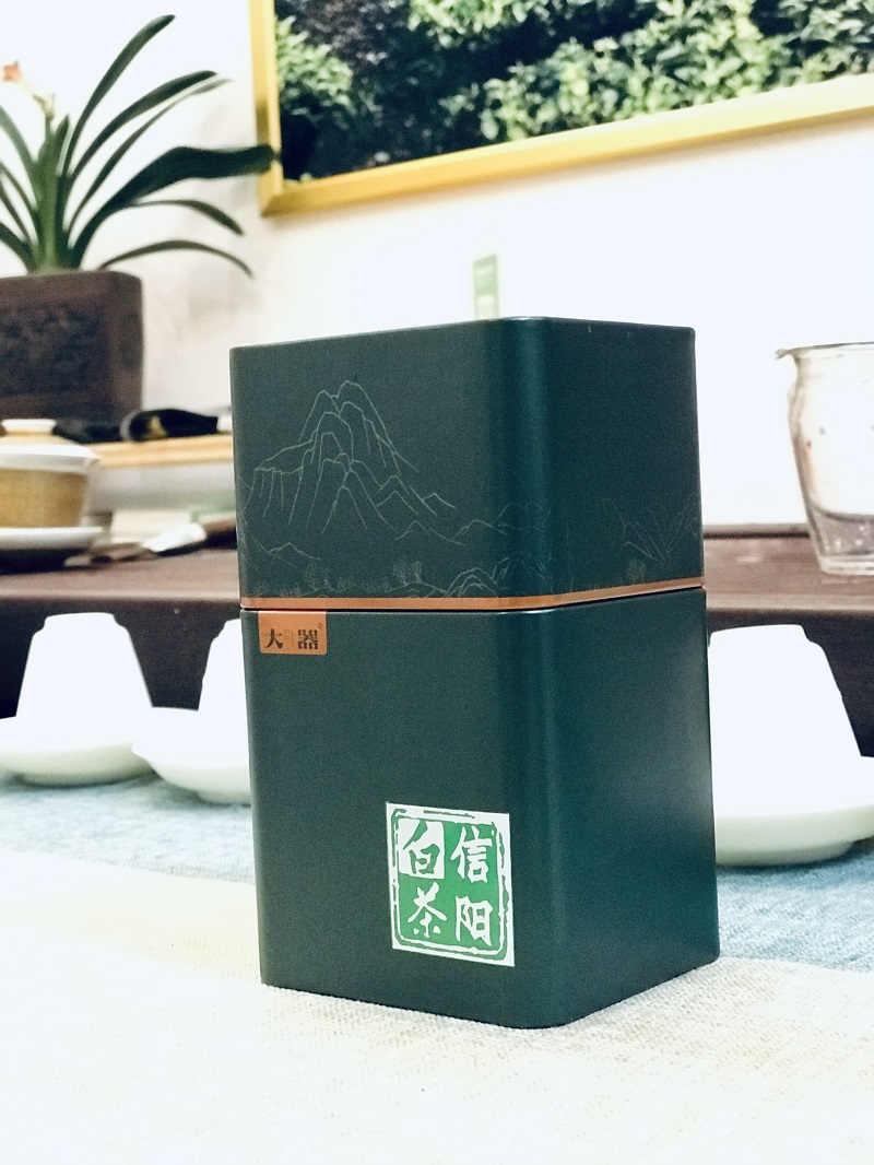 浉牌 信阳白茶 2021年浉河港特级润灵芽50克/罐 买五送一 简易铁罐装白茶