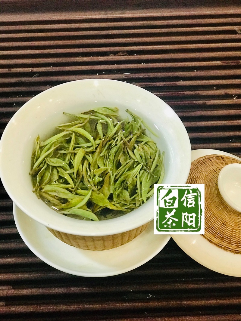 浉牌 信阳白茶 2023年浉河港特级润灵芽50克/罐装白茶