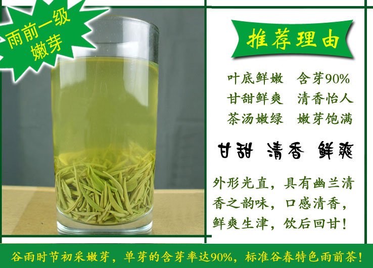 浉河港|信阳毛尖 散茶批发 2023新茶 茶叶【雨前一级】浉河港茶厂