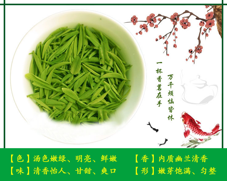 浉河港|信阳毛尖 散茶批发 2023新茶 茶叶【雨前一级】浉河港茶厂
