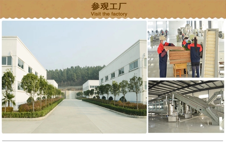 浉河港|信阳毛尖 散茶批发 2023新茶 茶叶【雨前一级】浉河港茶厂